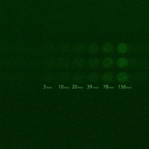 bioluminescence-em-linear-mode-emccd-512x513